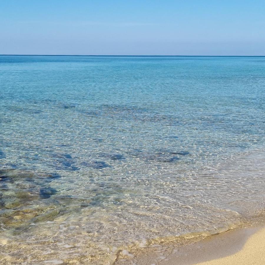 Le Case Di Pat - Palms Home San Pietro in Bevagna Zewnętrze zdjęcie
